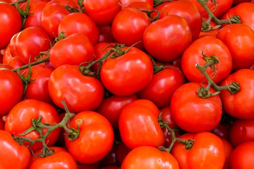 rosii, tomate, programul tomata