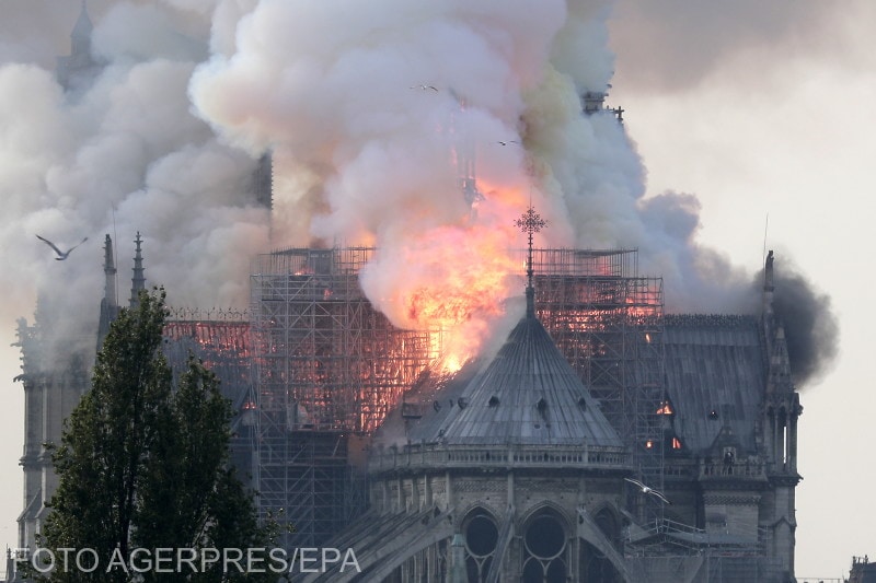 Advanced origin Not fashionable Peste 1.000 de stejari seculari vor fi folosiți la reconstrucția catedralei  Notre-Dame din Paris