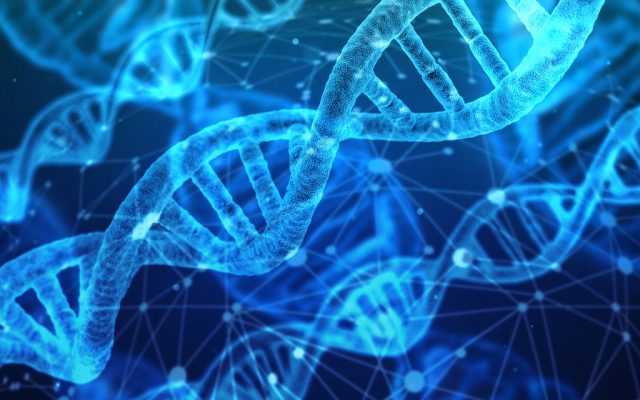 ADN, gene, genetic / Foto: Pixabay.com