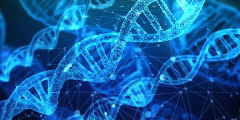 ADN, gene, genetic / Foto: Pixabay.com