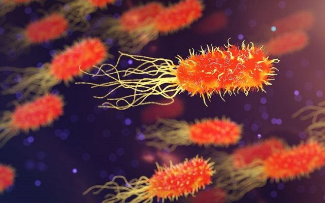 bacterii pe piele virus del papiloma resistente