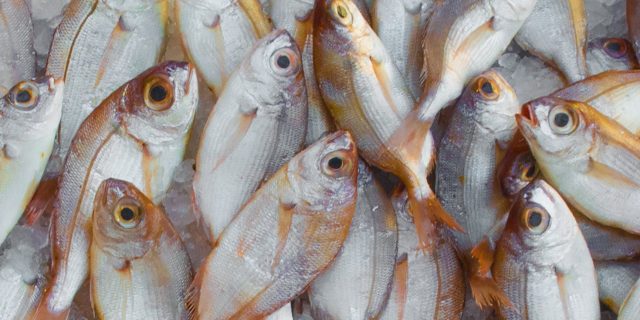 Avertismentul unui medic: Atenție la produsele de pește în postul Crăciunului / ”Nu miros şi nu au gust urât. Gătirea, marinarea sau congelarea nu distrug toxinele şi, prin urmare, otrăvirea este inevitabilă”