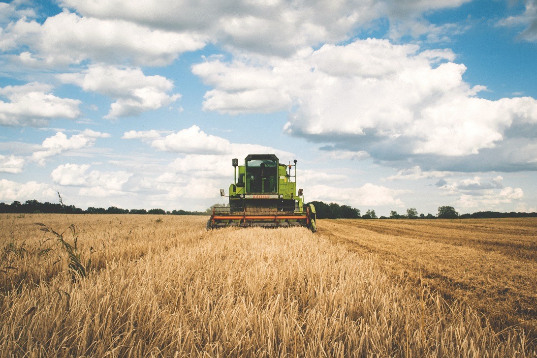 Prețul terenurilor agricole din România a crescut de cinci ori în ultimul deceniu. E cea mai mare scumpire din UE