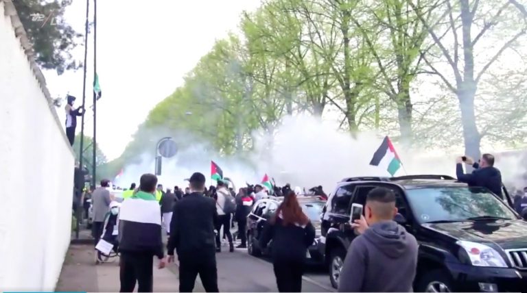 protest pro palestina