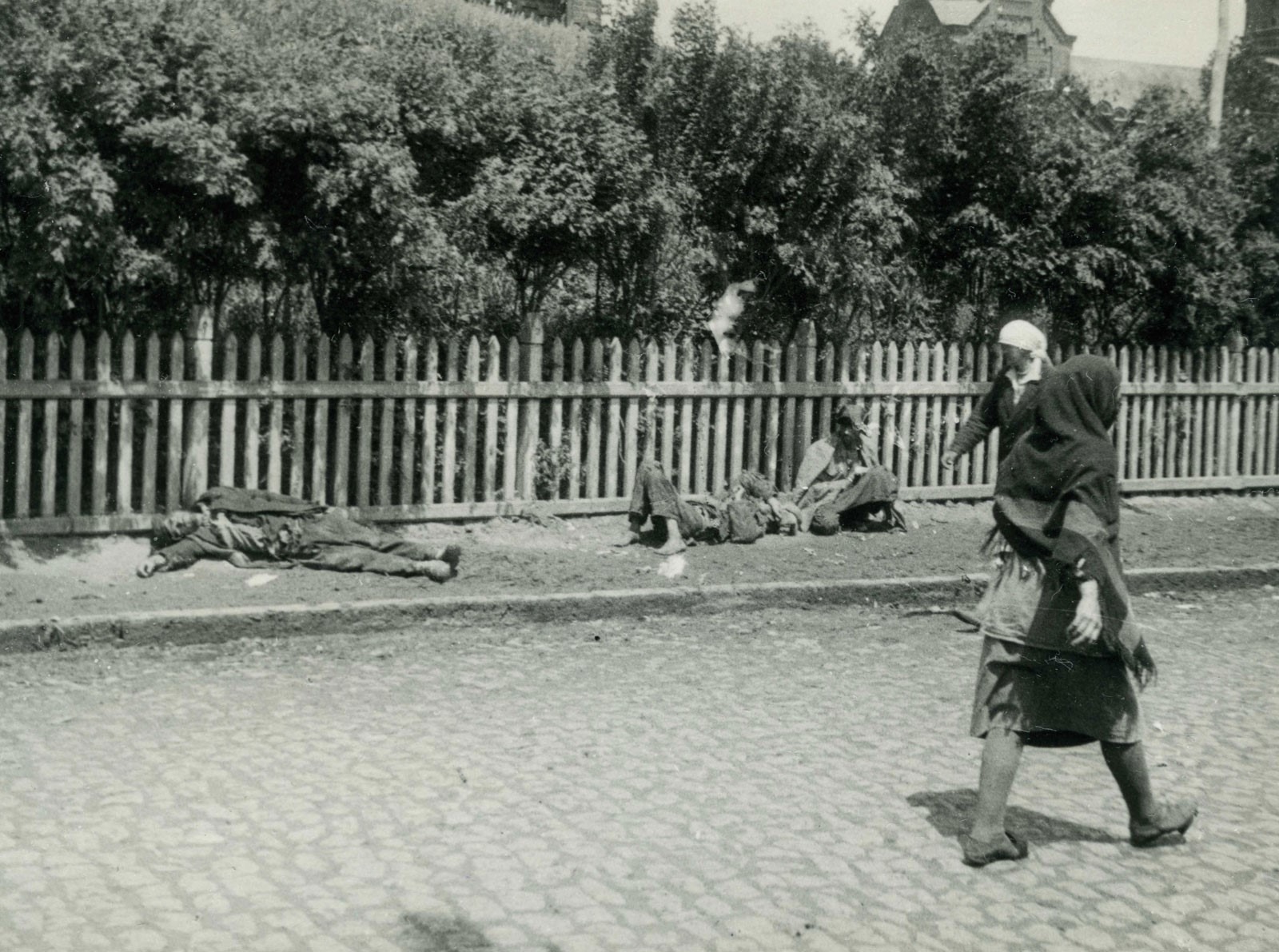 Holodomor, fenocid ucraina