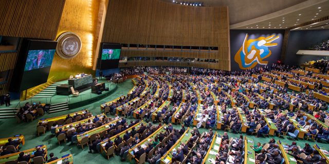 adunarea generala ONU