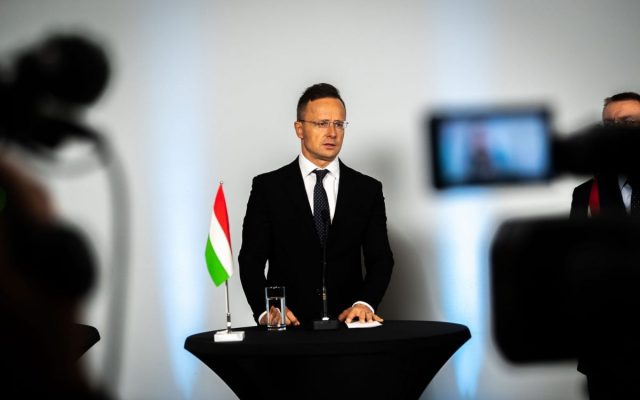 Submerged Donation Sideboard Guvernul ungar acuză Ucraina că încearcă să influenţeze alegerile  legislative din Ungaria
