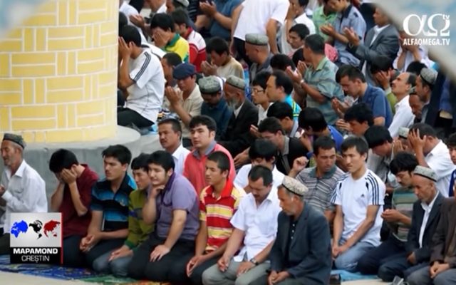 uiguri, china, drepturile omului