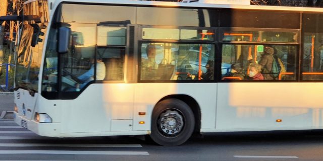 autobuz, transport public, STB