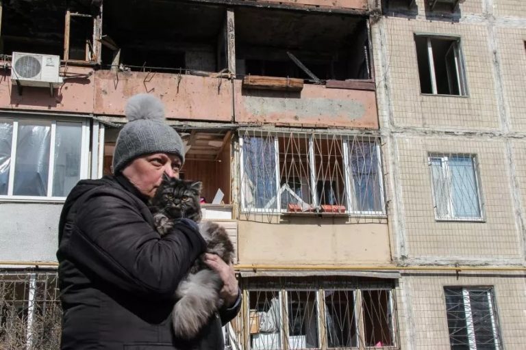 pisica, bloc bombardat, ucraina, kiev