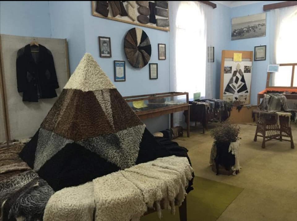 Un muzeu dedicat ovinelor din rasa karakul a fost inaugurat într-o stațiune din