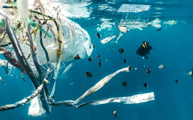 plastic apa oceane poluare activism naja-bertolt-jensen-BJUoZu0mpt0-unsplash