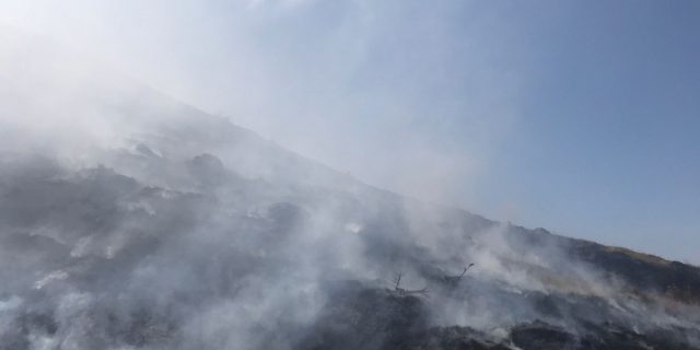 incendiu vegetatie Muntele Găina