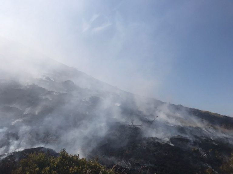 incendiu vegetatie Muntele Găina
