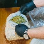 droguri marijuana politia trafic