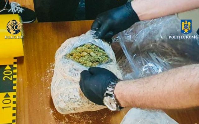droguri marijuana politia trafic