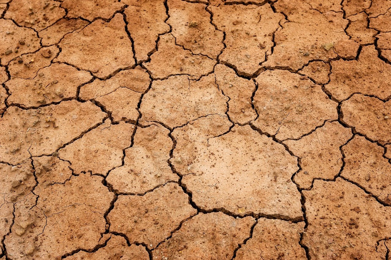 Apele Române, semnal de alarmă pentru folosirea rațională a apei: ”Zeci de localități sunt afectate de secetă”