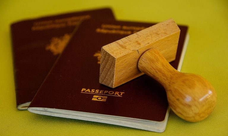 pasaport, viza, vama, calatorie