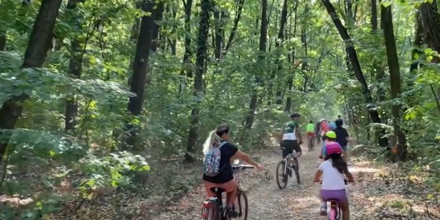 Ruta 10, traseu biciclete în pădure