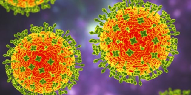 Langya henipavirus, LayV, virus nou