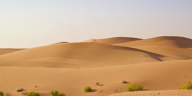 Abu Dhabi, Emiratele Arabe Unite, deșert