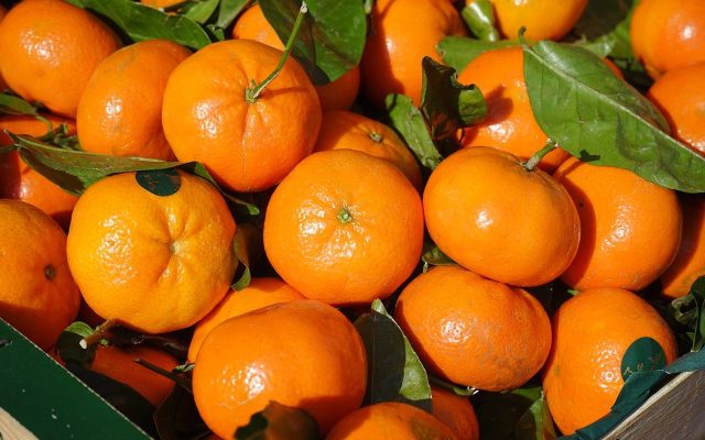 citrice, mandarine, clementine