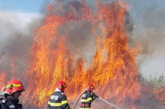 incendiu vegetatie tulcea flacari pompieri