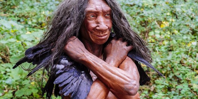 Homo sapiens, neanderthal, oamenii pesterilor, grotelor
