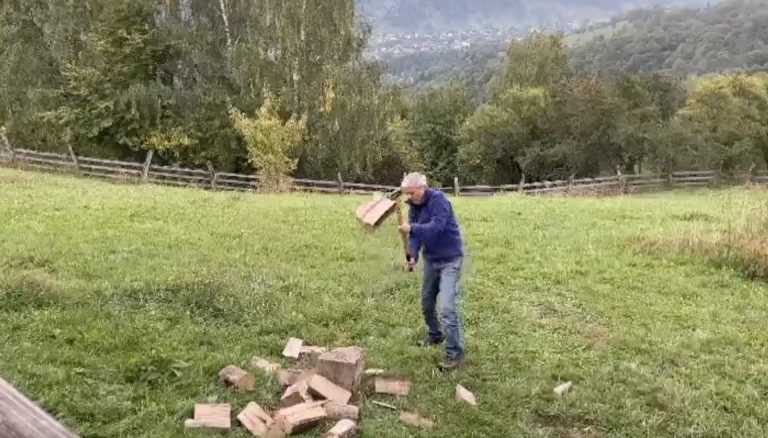 dacian ciolos taie lemne