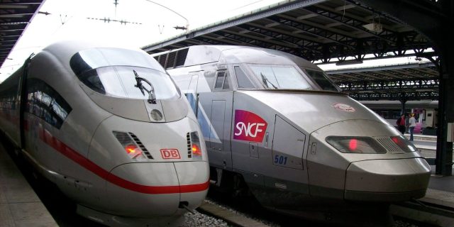 TGV, franta, pisica calcata tren, rdepturi animale