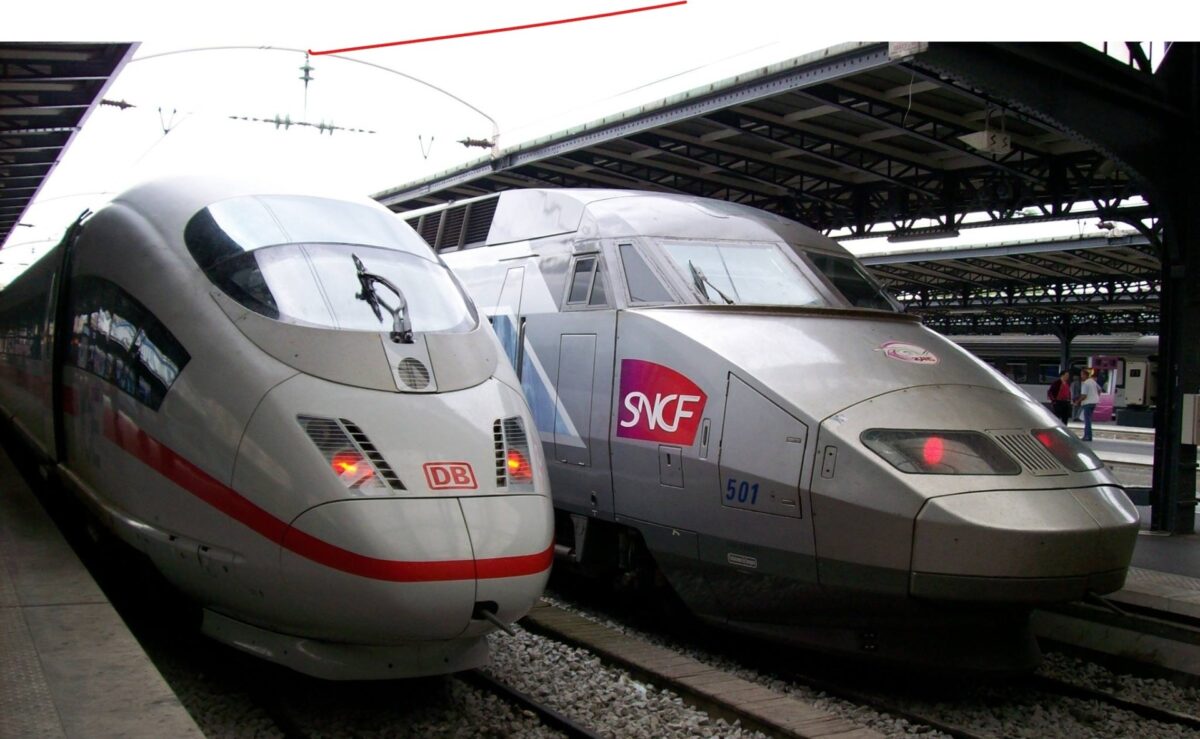 TGV, franta, pisica calcata tren, rdepturi animale
