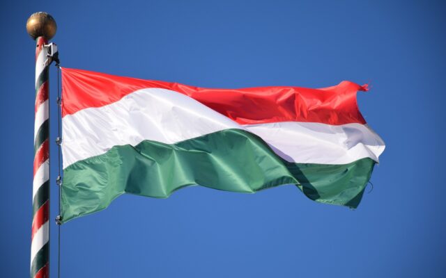 Ungaria steag