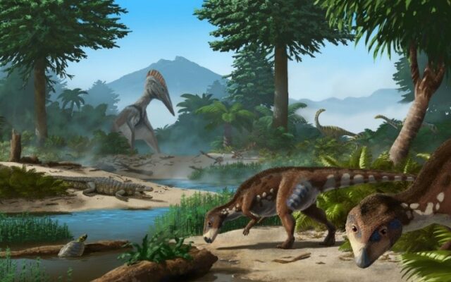 Reptila cu cap turtit din Transilvania -Dinozaur Transylvanosaurus platycephalus