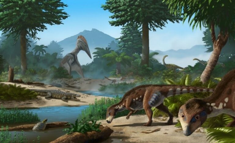 Reptila cu cap turtit din Transilvania -Dinozaur Transylvanosaurus platycephalus