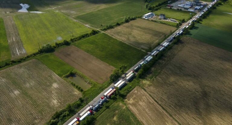 TIRuri automarfare cozi timpi asteptare vama siret autocamioane cereale marfuri transporturi ucraina romania granita frontiera birou vamal punct trecere