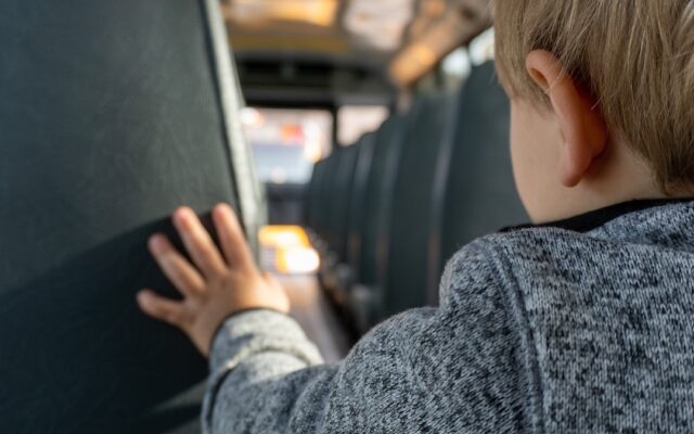 autobuz, microbuz, scoala, scolar
