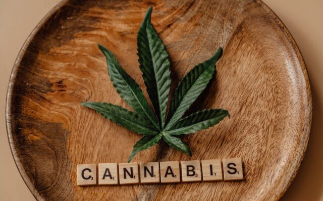 canabis, marijuana, droguri