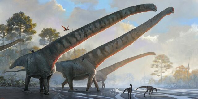 Mamenchisaurus sinocanadorum, dinozaur, sauropod