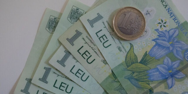 bani, lei, finante, bancnote, euro