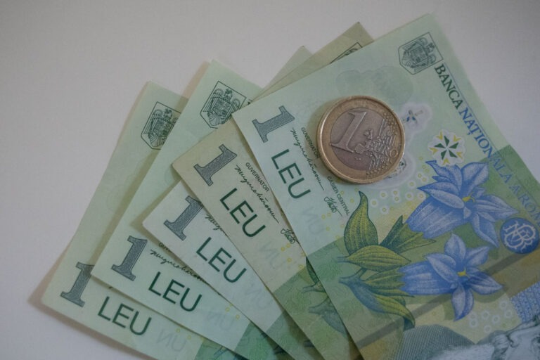 bani, lei, finante, bancnote, euro