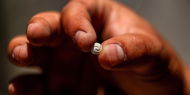 siria droguri captagon pastile narcotice