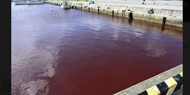 apa marii colorata in rosu / Japonia