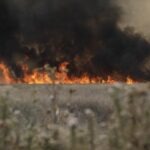 incendiu de vegetatie, Bragadiru, Magurele