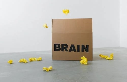 brain drain, exodul creierelor