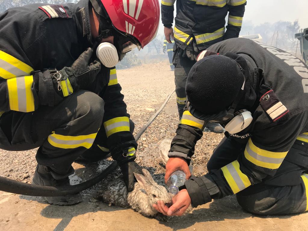 pompieri români, grecia, rodos, incendii