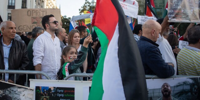 Palestina, Fasia Gaza, protest de sustinere