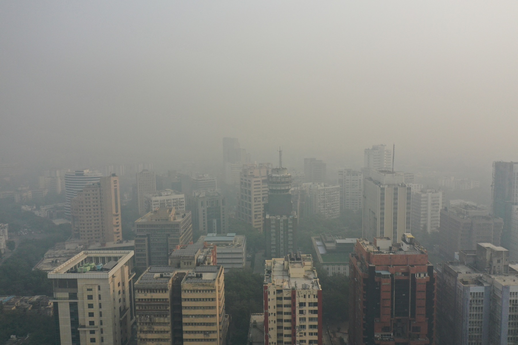 india, new delhi, poluare, smog