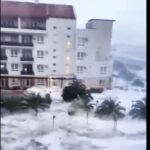 Furtuna Marea Neagra