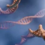 cromozomi, adn, gene, genetica, biologie, chimie, virusi