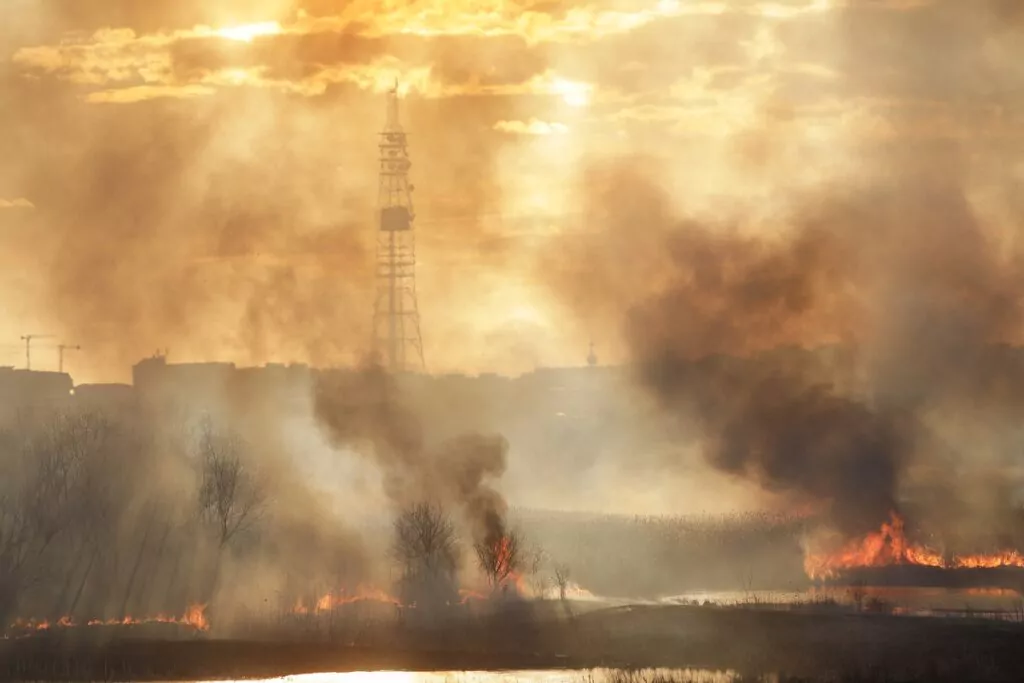 incendiu Delta Văcărești, incendiu vegetație